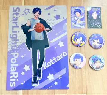 스타폴라 코타로 묶음 판매