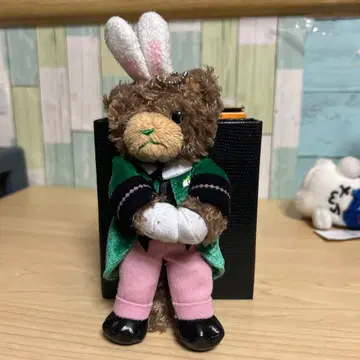 MINI PRINCE CAT 베르데 우타프리 로스알리 렌지