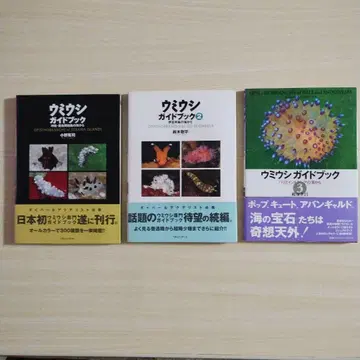 갯민숭달팽이 가이드북 3권 세트