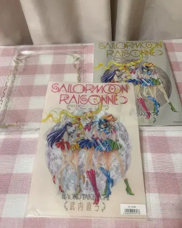 세일러문 레종네 아트 워크집