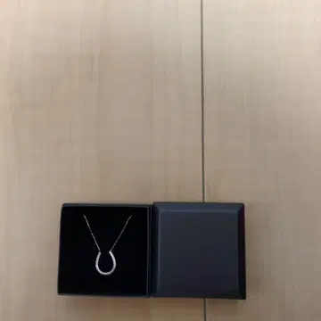 플라티나 900 목걸이입니다