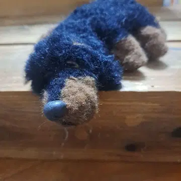 몰 아트 닥스훈트 자는 모습 푹신푹신