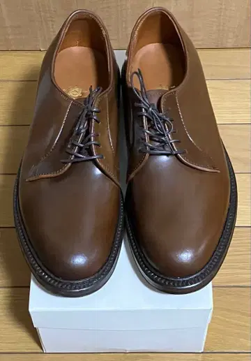 [ 미사용 새상품 ] Alden 9900 플레인토 라베로 코도반 8E