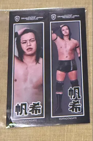 DRAGONGATE 히네리아게 센샤후다풍 씰 호키