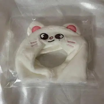 straykids 펜라 커버 ver.2