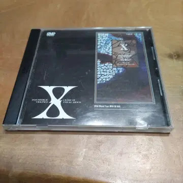 X/Blue Blood Tour 폭발 직전 GIG