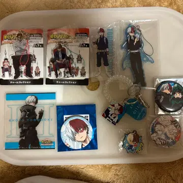 나의 히어로 아카데미아 토도로키 쇼토