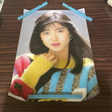 아이돌 포스터 이나이 아키코 오냥코 클럽 국회의원 당시 물품