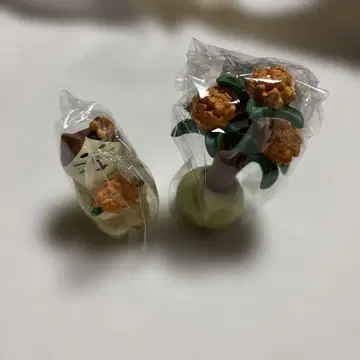 황홀한 금목서 고양이 세트