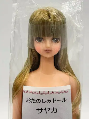 사야카 리카짱 캐슬 오타노시미 인형 브론즈 계열 제니 프렌드