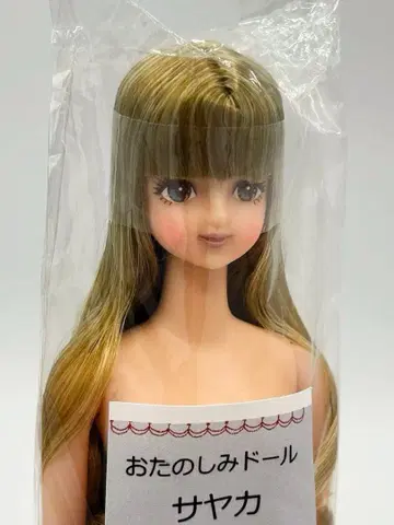 사야카 리카짱 캐슬 오타노시미 인형 브론즈 계열 제니 프렌드