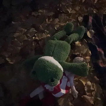 개구리 봉제 인형