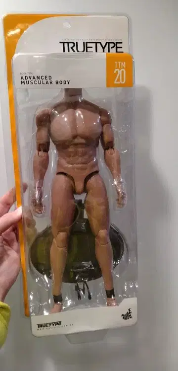 미개봉 1/6 핫토이즈 소체 베이직