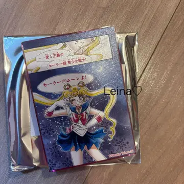 세일러문 카페 아크릴 블록 A 세일러문 츠키노 우사기 원화