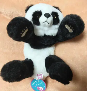 진화계 봉제 인형 펜 파우치 포즈 팬더