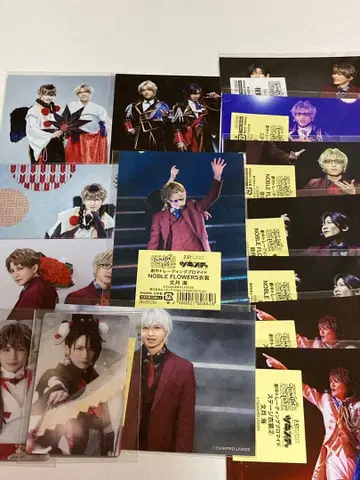 츠키스테 연장 브로마이드 츠키스테.