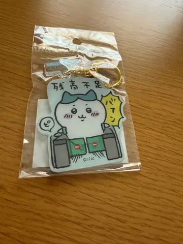 도쿄역 치이카와 (먼작귀) 랜드