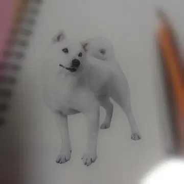 [ 미사용품 ] SoftBank 오토상 A4 클리어 파일