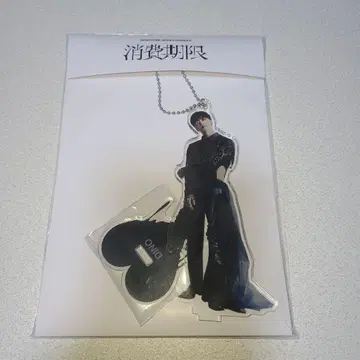 세븐틴 소비기한 디노 아크릴 스탠드