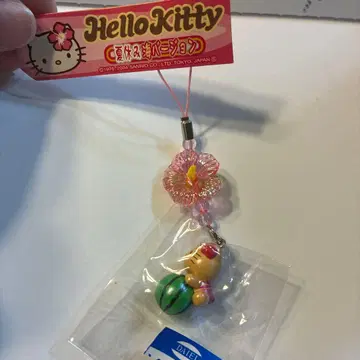 여름방학 바다 버전 헬로키티 수박 스트랩