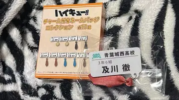 하이큐!! 참 포함 네임 배지 컬렉션 오이카와 토오루