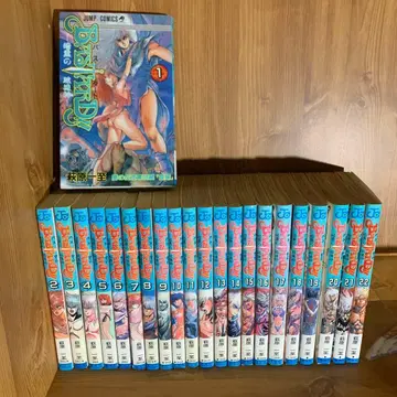 바스타드 BASTARD 암흑의 파괴신 1~22권 하기와라 카즈시