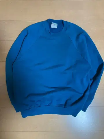 80s 프룻 오브 더 룸 빈티지 맨투맨 XL 터콰이즈 블루 빈스