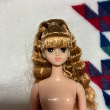 제니 프렌드 아이코짱 리카짱 캐슬 즐거운 인형