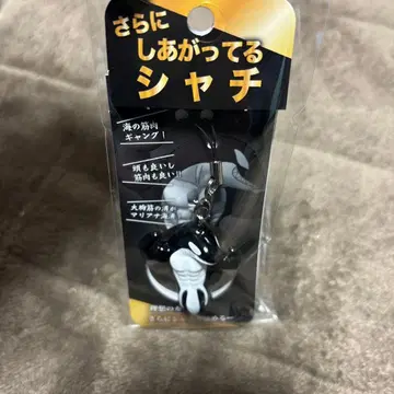 스마 월드 더욱 완성된 범고래 미개봉 새상품