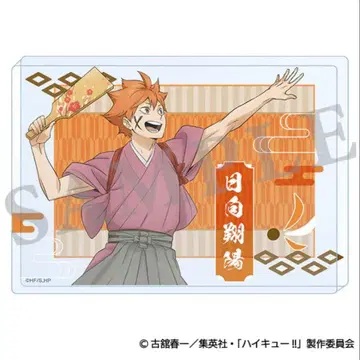 하이큐!! 새해의 정점 아크릴 블록 히나타 쇼요