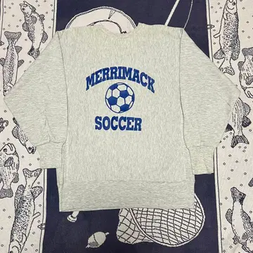 90s 챔피온 리버스 위브 자수 택 양면 프린트 축구 눈 모양