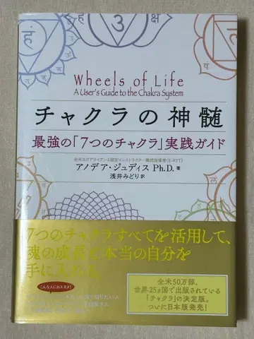 차크라의 정수 최강의 7가지 차크라 실천 가이드