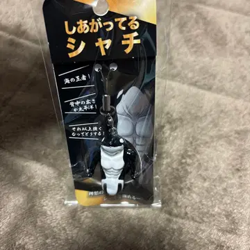 스마 월드 완성된 범고래 미개봉 새상품