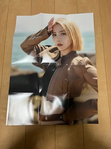 스루이치 포스터