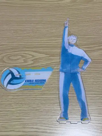 하이큐 원작 호시우미 코라이 아크릴 MEGA 피규어 아크릴 스탠드