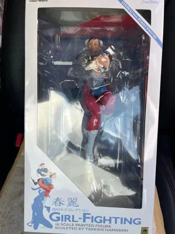 스트리트 파이터 춘리 니시무라 키누 컬렉션 GIRL-FIGHTING