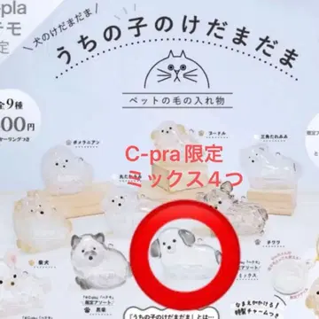 우리 아이 털뭉치 C-pra 한정판 믹스 4개 세트