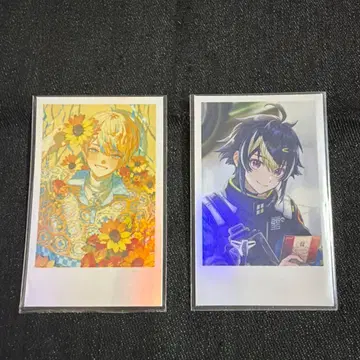 히바치 마나 이나미 라이 생일 폴라로이드