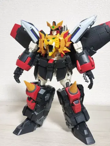 RG 가오가이거