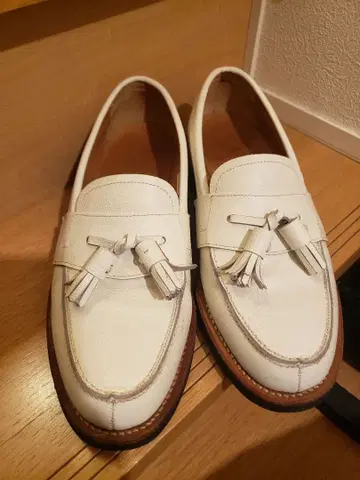 REGAL PHENOMENON 화이트 로퍼