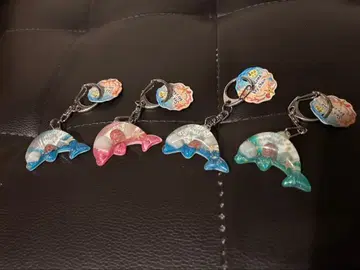 스플래쉬 오키나와 돌고래형 아크릴 키링 세트