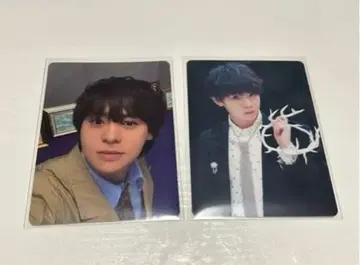 아리오카 다이키 트레이딩 카드