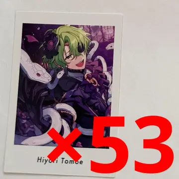 앙스타 파샤츠 히요리 53장