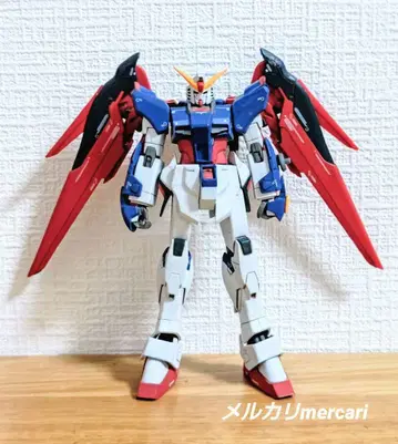 COSMIC REGION #7004 데스티니 건담