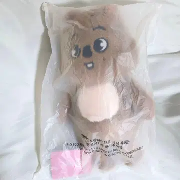 스키즈 팬미팅 한국 테디베어 한 쿼카