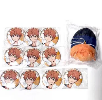 하이큐 히나타 쇼요 극락탕 모찌코롱 캔뱃지