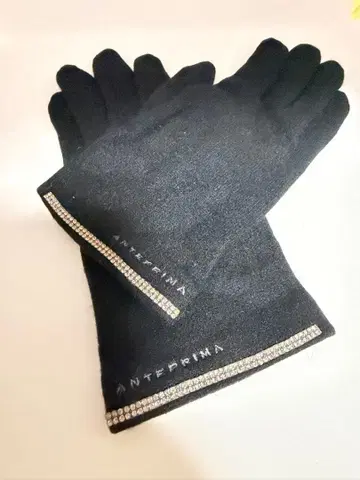 ANTEPRIMA 블랙 스톤 장갑