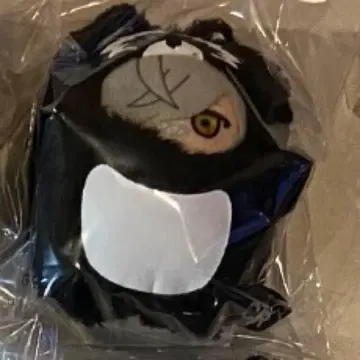 crazy raccoon CR FRIENDS 달마이즈고드