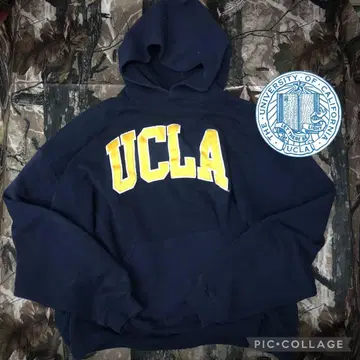 Univ. of California LA Russel Hoodie