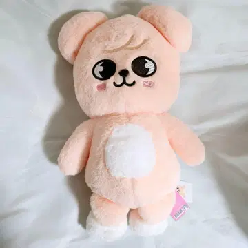 스키즈 팬미팅 한국 테디베어 승민 퍼핌